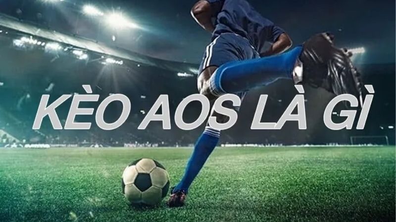 Trang Cá Độ Fanvin Bật Mí Cách Bắt Kèo AOS Chuẩn