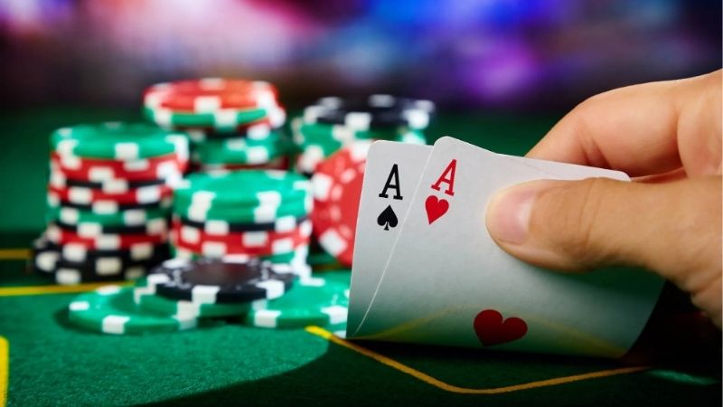 Ngũ Linh Có Ăn Được Xì Dách Không | Fanvin Giải Đáp Chuẩn