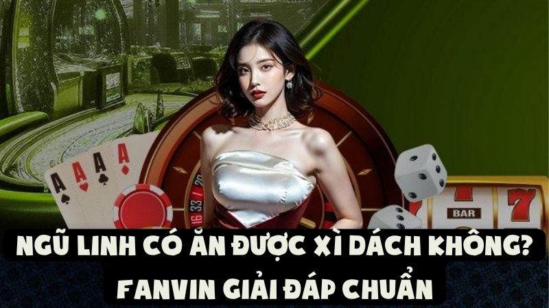 Ngũ Linh Có Ăn Được Xì Dách Không | Fanvin Giải Đáp Chuẩn