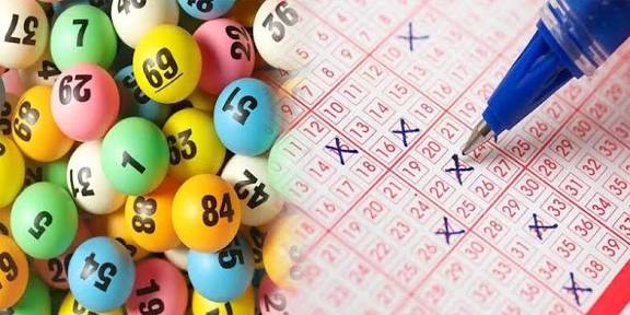 Nuôi lô gấp thếp là gì?